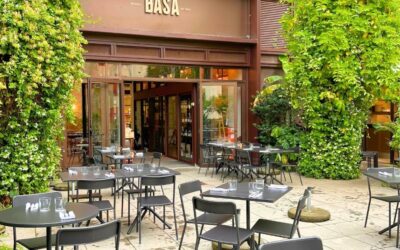 Basa