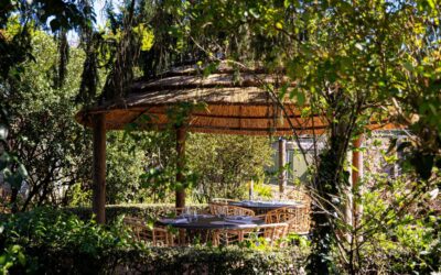 Le Moulin Cavier
