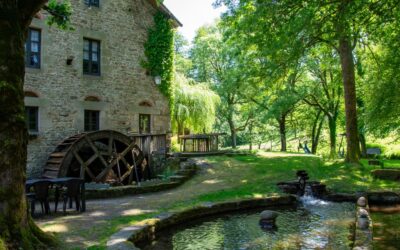 Le Moulin de Chevillou