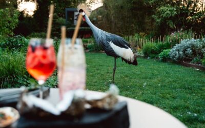 La Mare aux Oiseaux