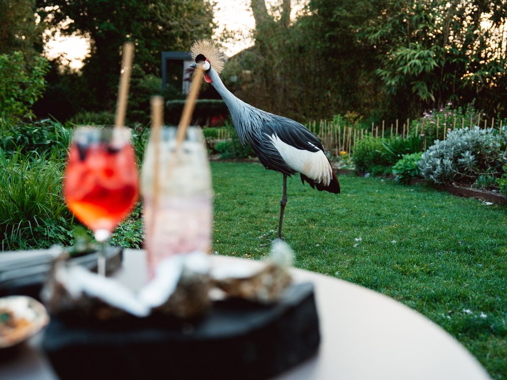 La Mare aux Oiseaux