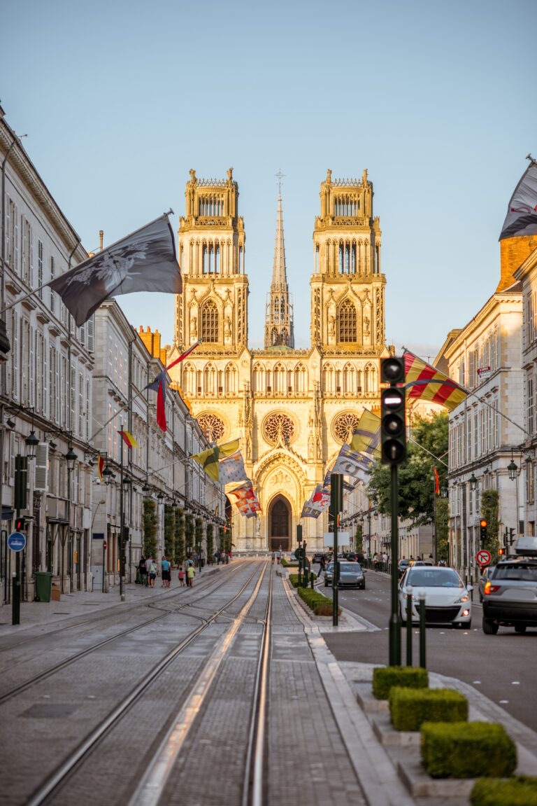 La ville d'Orléans