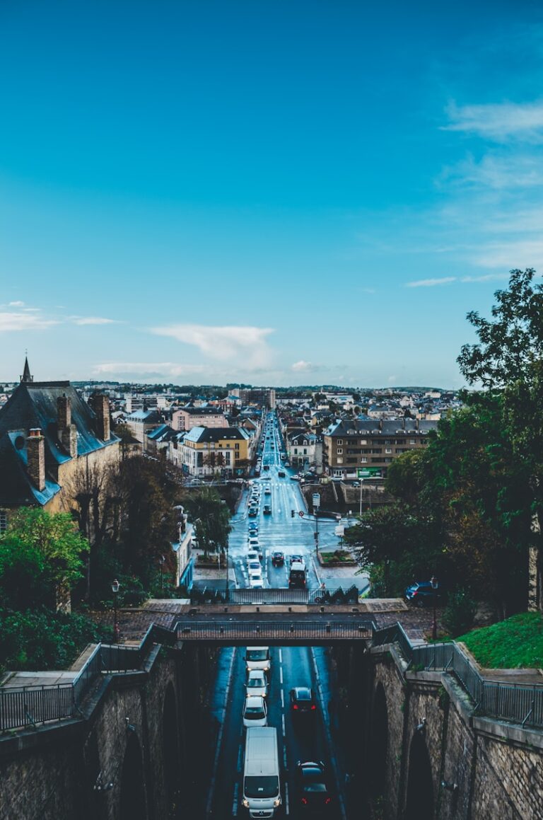 Vue aérienne de la ville du Mans
