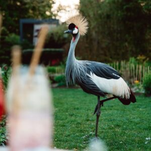 La Mare aux Oiseaux à La Baule