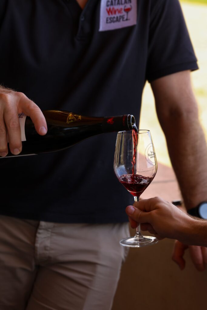 Dégustation d'un vin du Roussillon à Perpignan avec Catalan Wine Escape