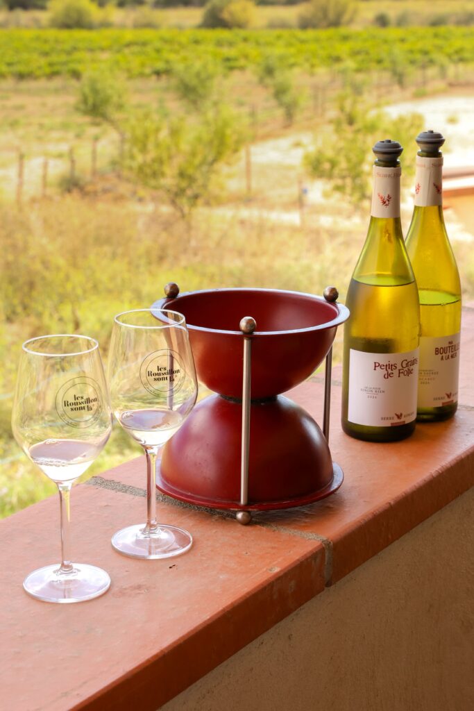 Dégustation de vins avec Catalan Wine Escape