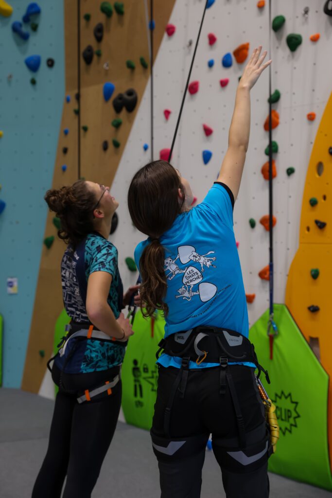 Cours d'escalade aux Chats Perchés à Perpignan
