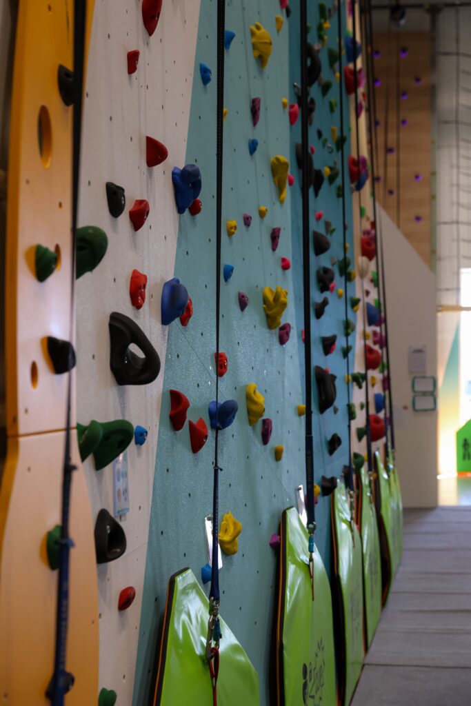 Le mur d'escalade avec enrouleurs automatiques aux Chats Perchés à Perpignan
