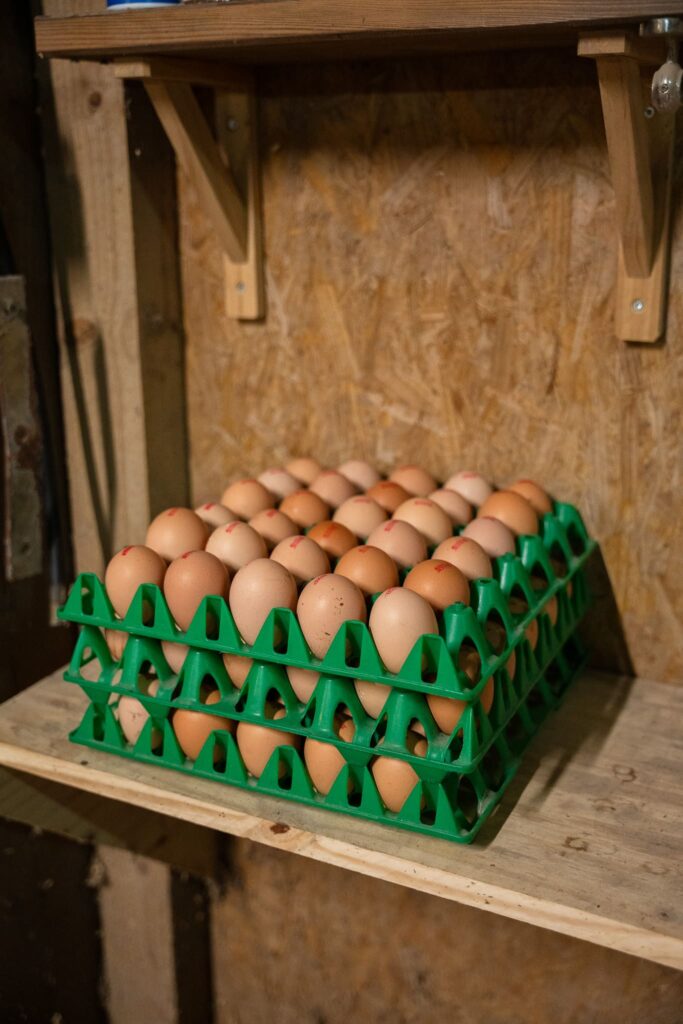 Oeufs de la Ferme de la Maisonneuve, à Guérande