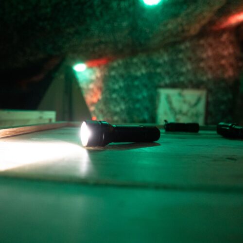 Escape game dinosaures, Guérande