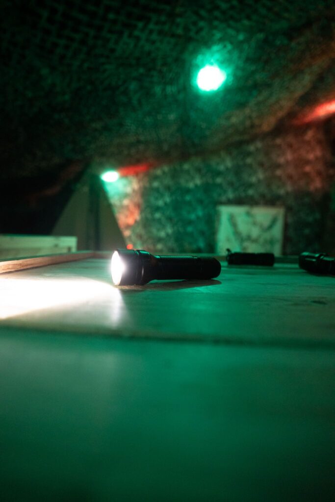 Escape game dinosaures, Guérande