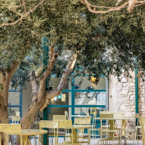 La terrasse agencée autour d'un vieil olivier au restaurant Le Patio à Béziers
