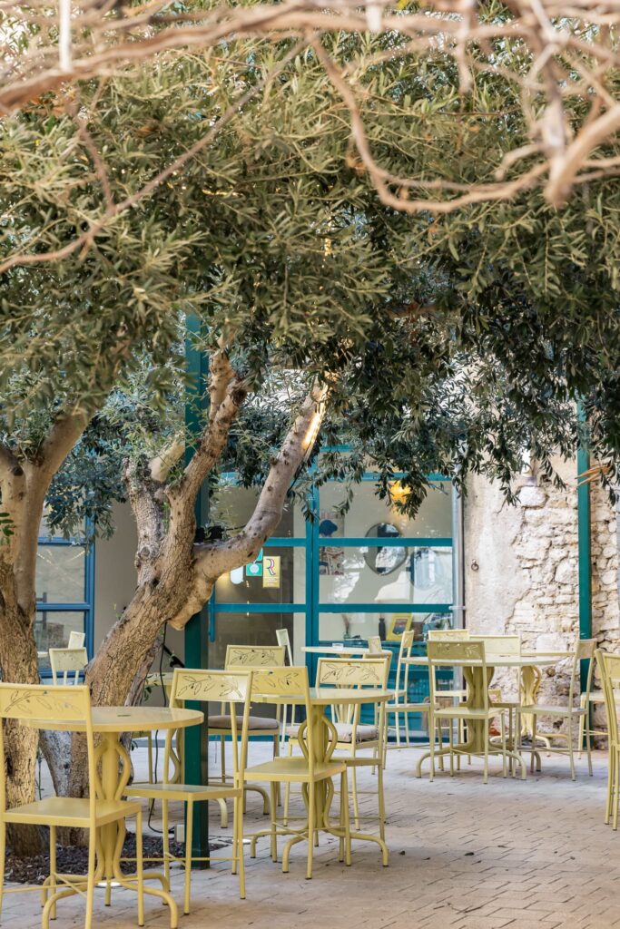La terrasse agencée autour d'un vieil olivier au restaurant Le Patio à Béziers