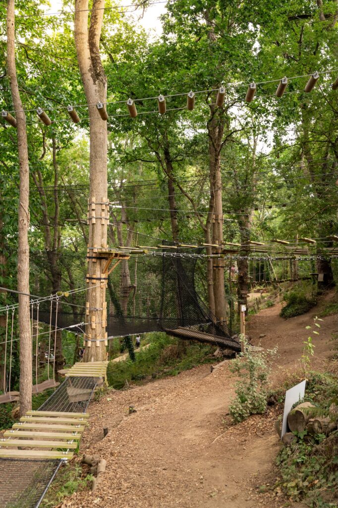 Un parcours d'accrobranche à Beaussais Aventure