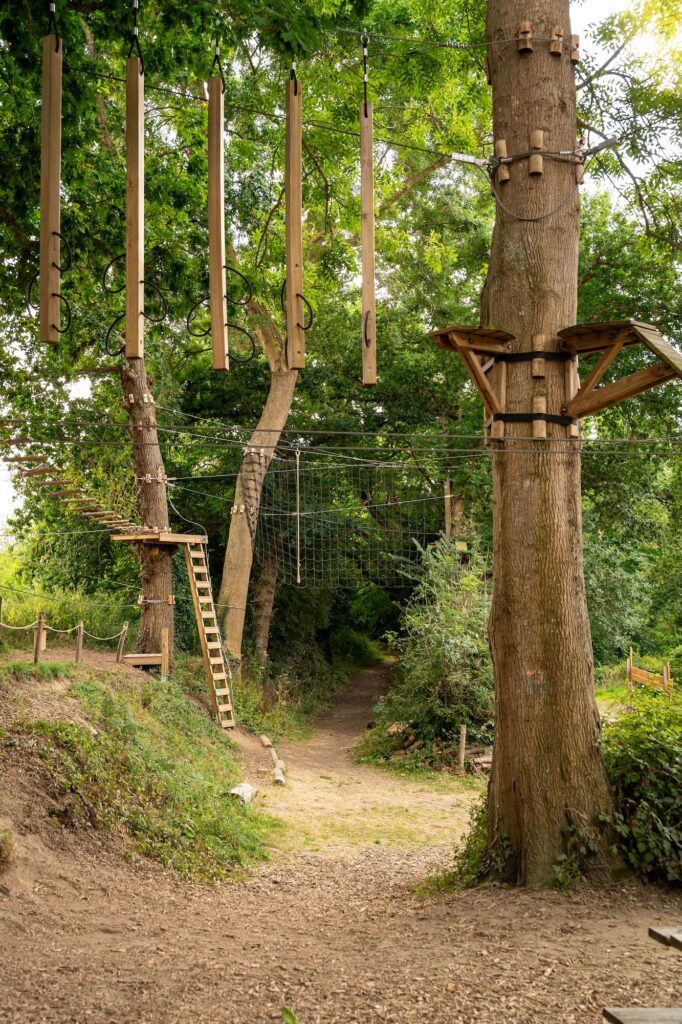 Un parcours d'accrobranche pour les enfants à Beaussais Aventure