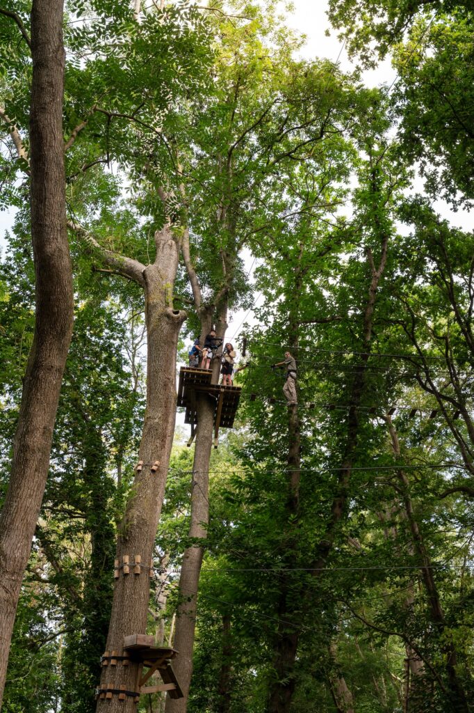 Un saut à l'élastique depuis un arbre à Beaussais Aventure