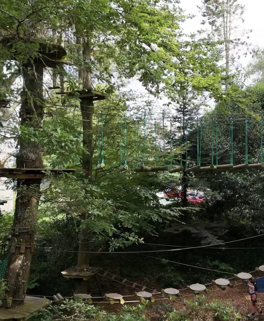 attraction au bonobo parc de quimper