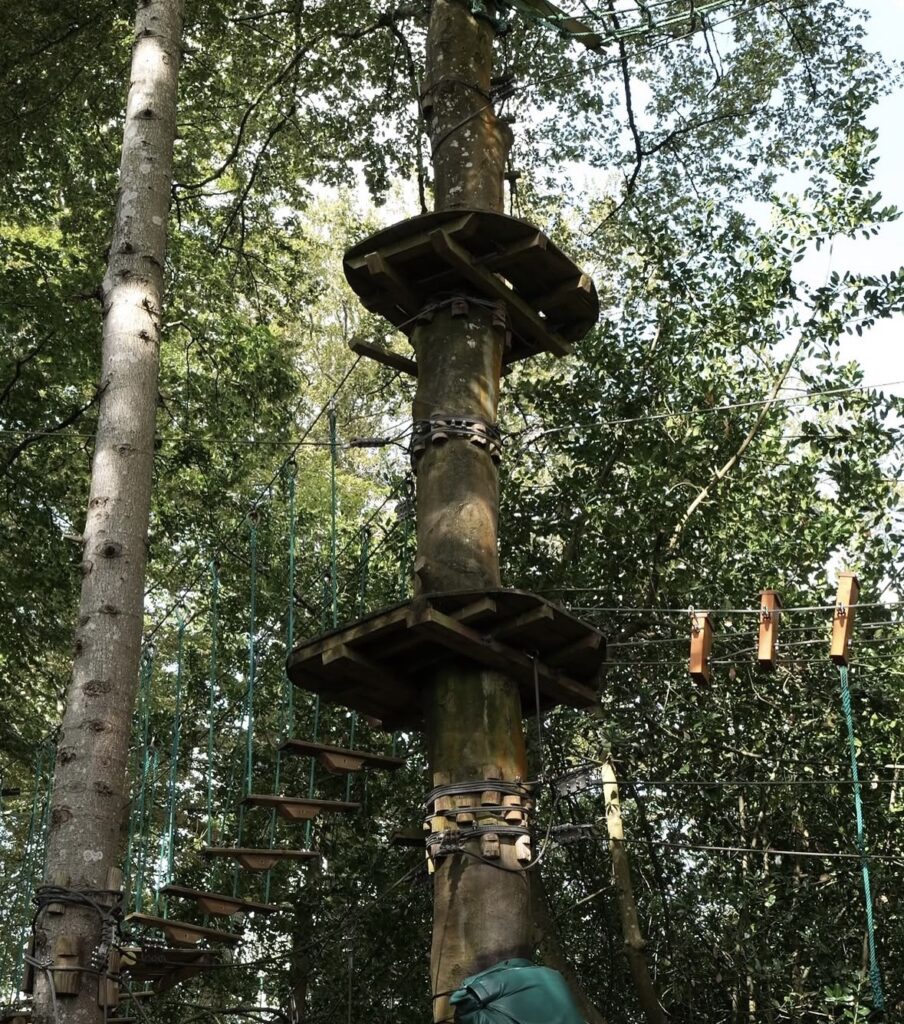 activité au bonobo parc de quimper