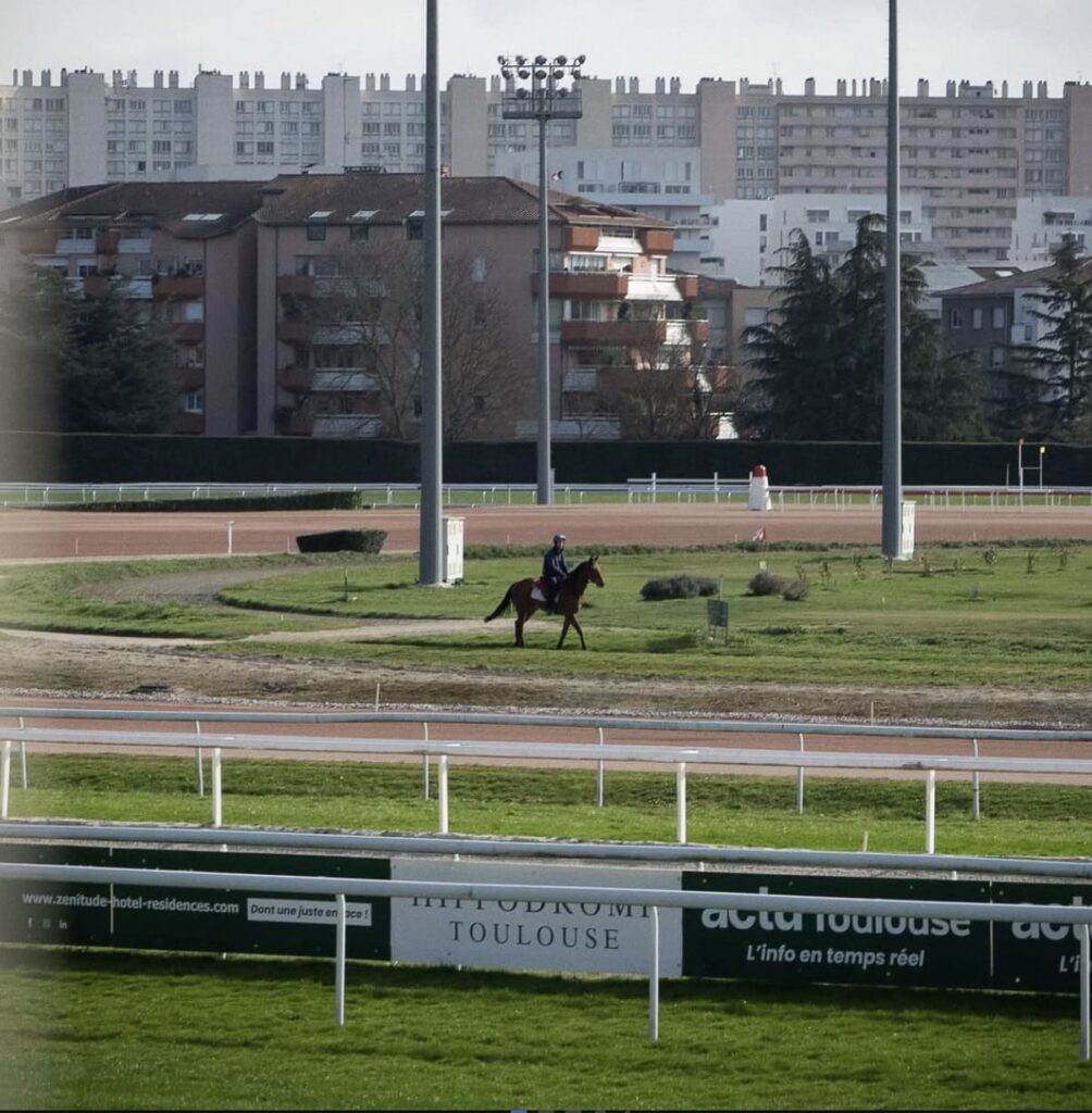 hippodrome bouillons toulousains hippodrome à toulouse