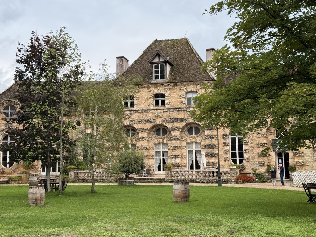 Petit Chateau du Chateau de Savigny