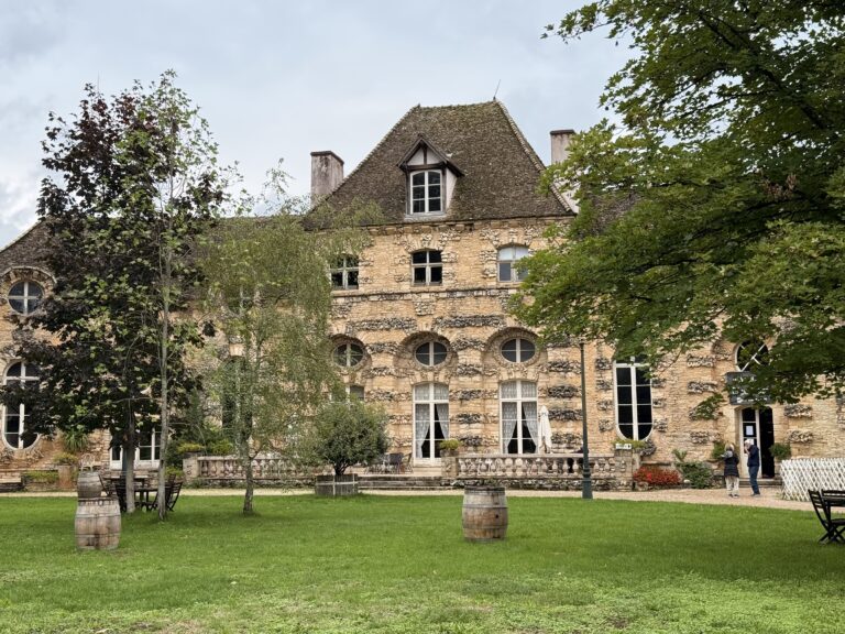 Petit Chateau du Chateau de Savigny