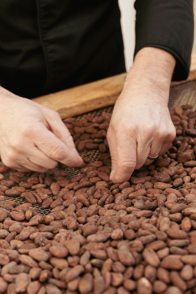 Les fève de cacao travaillées par Nuances de Chocolat à Angers