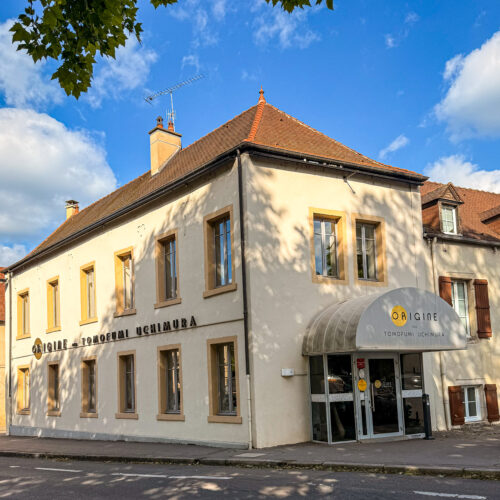 Facade d'Origine à Dijon