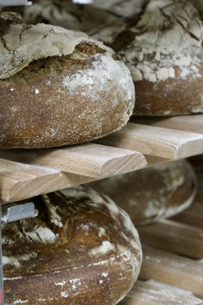 Pains de campagne de la boulangerie-pâtisserie artisanale Le Sentier de la Mie, au Teich.