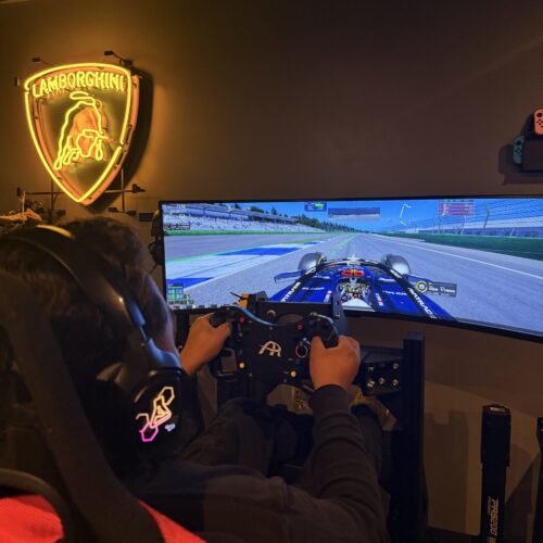 Pilotage au Simuracing Area à Dijon