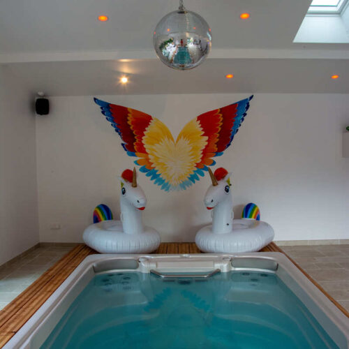 Le spa avec nage à contre courant du gîte pour 12 personnes Les Spas Insolites à Saint-Junien à 20 minutes de Limoges