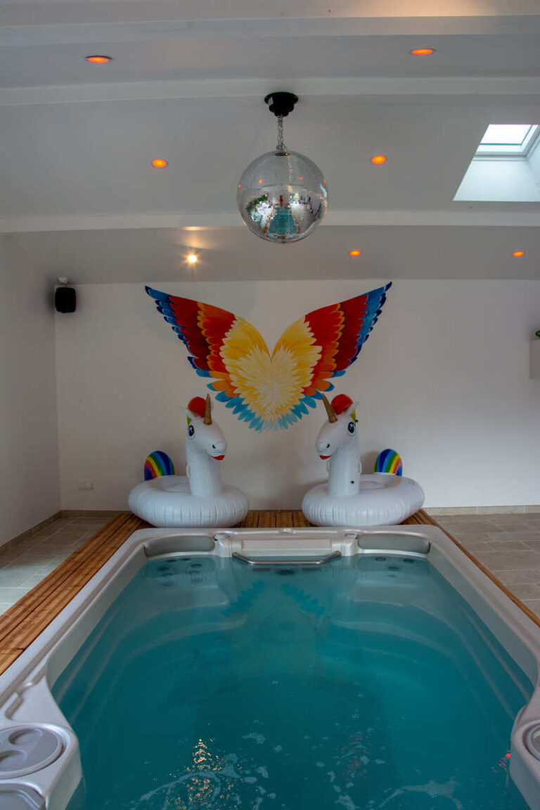Le spa avec nage à contre courant du gîte pour 12 personnes Les Spas Insolites à Saint-Junien à 20 minutes de Limoges