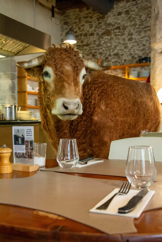 La vache emblématique du restaurant La Table du Couvent à Limoges