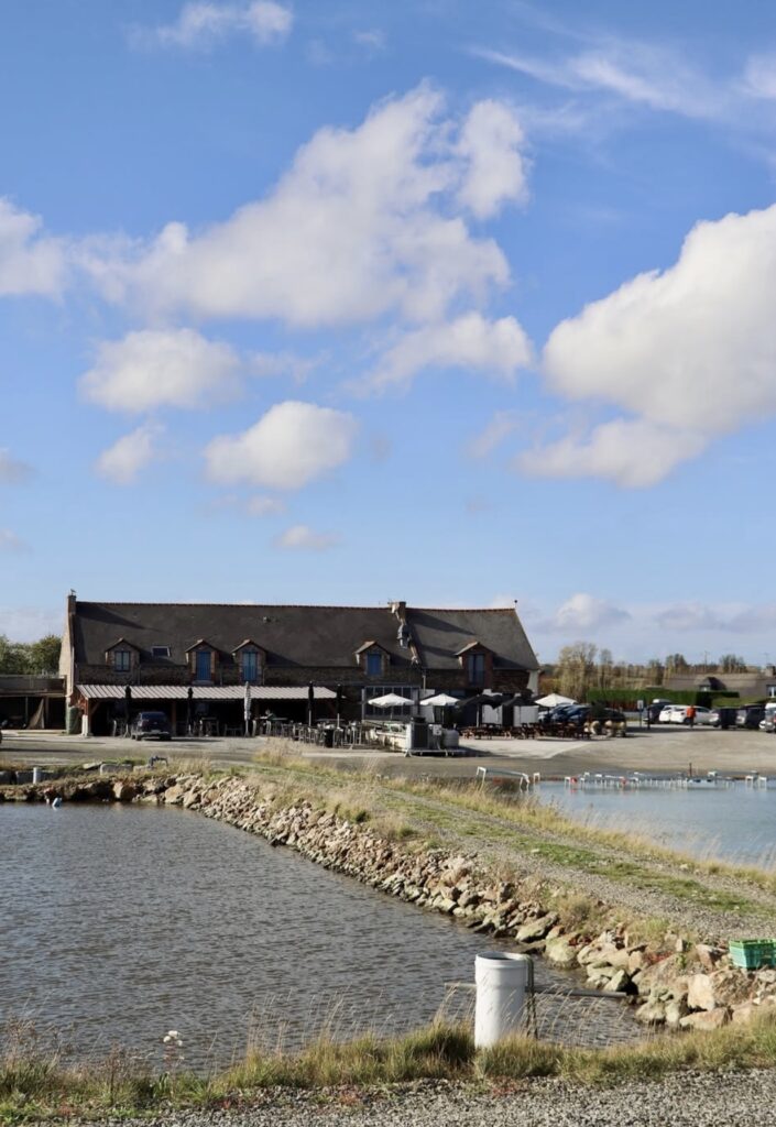 Restaurant avec vue sur les bassins d’huîtres à La Ferme des Nielles à Saint-Méloir-des-Ondes.