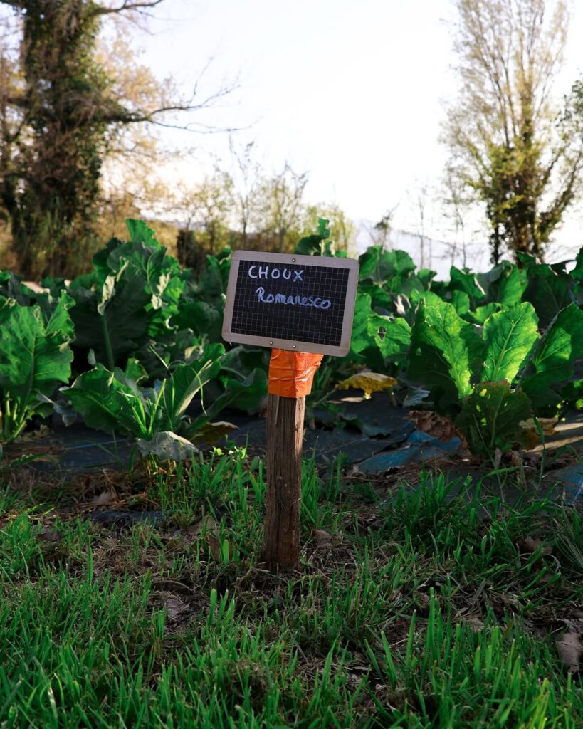 Le potager du restaurant Arbor & Sens à Argelès-sur-Mer