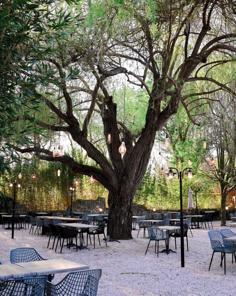 La terrasse du restaurant Arbor & Sens à Argelès-sur-Mer