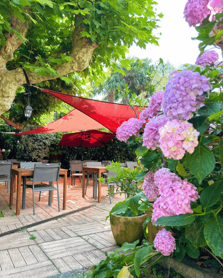 La terrasse de Getaria