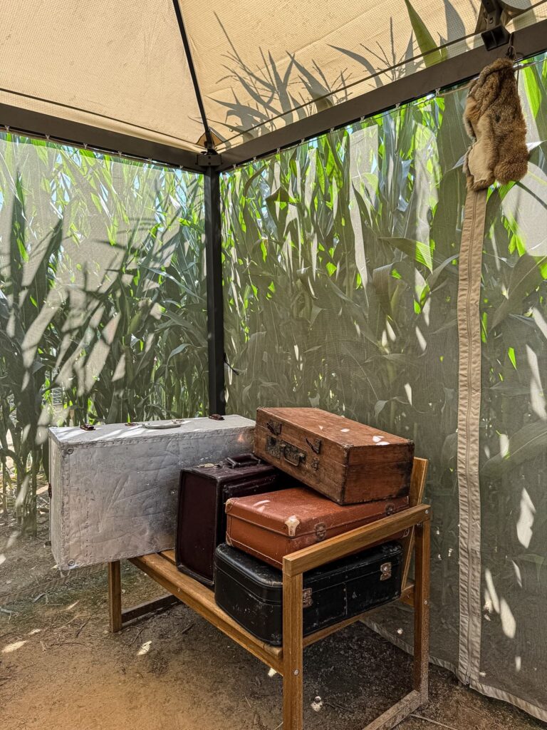 Le labyrinthe à Honfleur