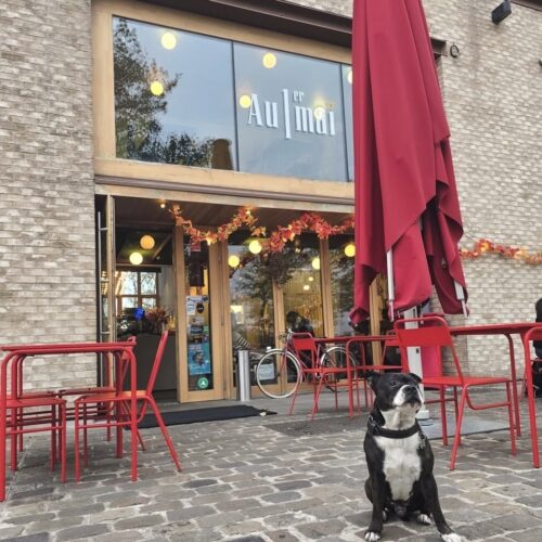 Entrée avec un chien