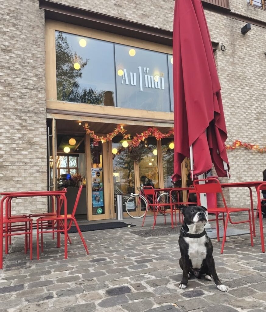 Entrée avec un chien