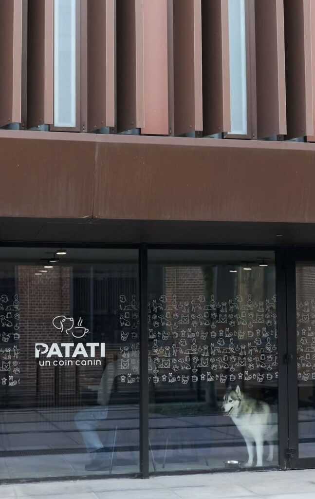 extérieur patati