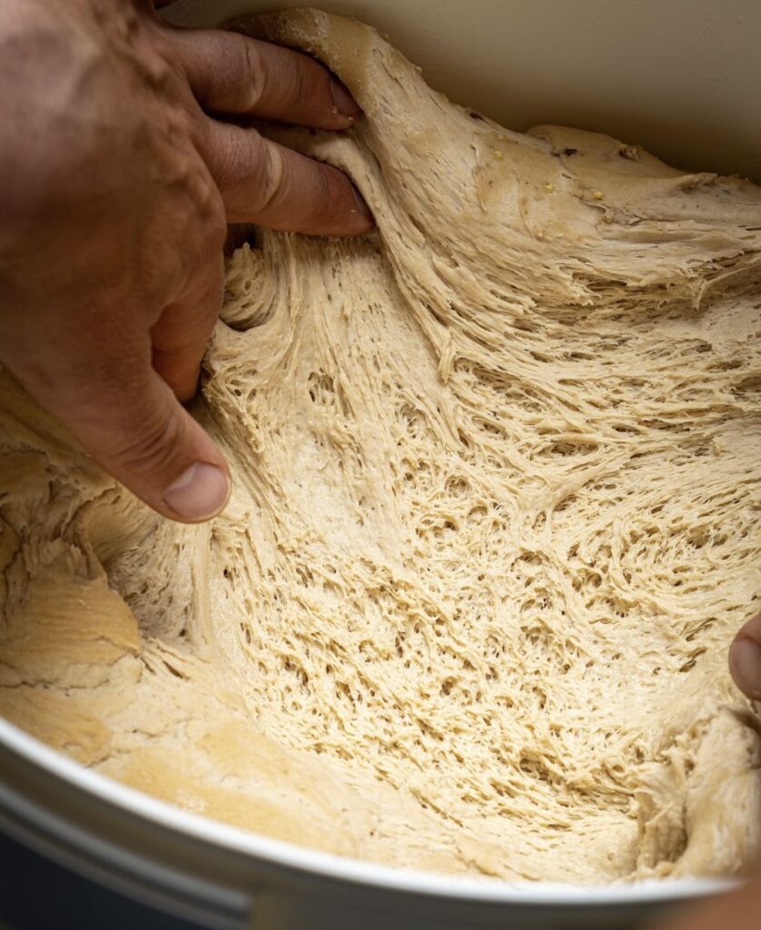 Levain naturel Vandromme