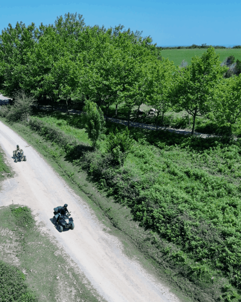 une balade de TT RANDO QUAD