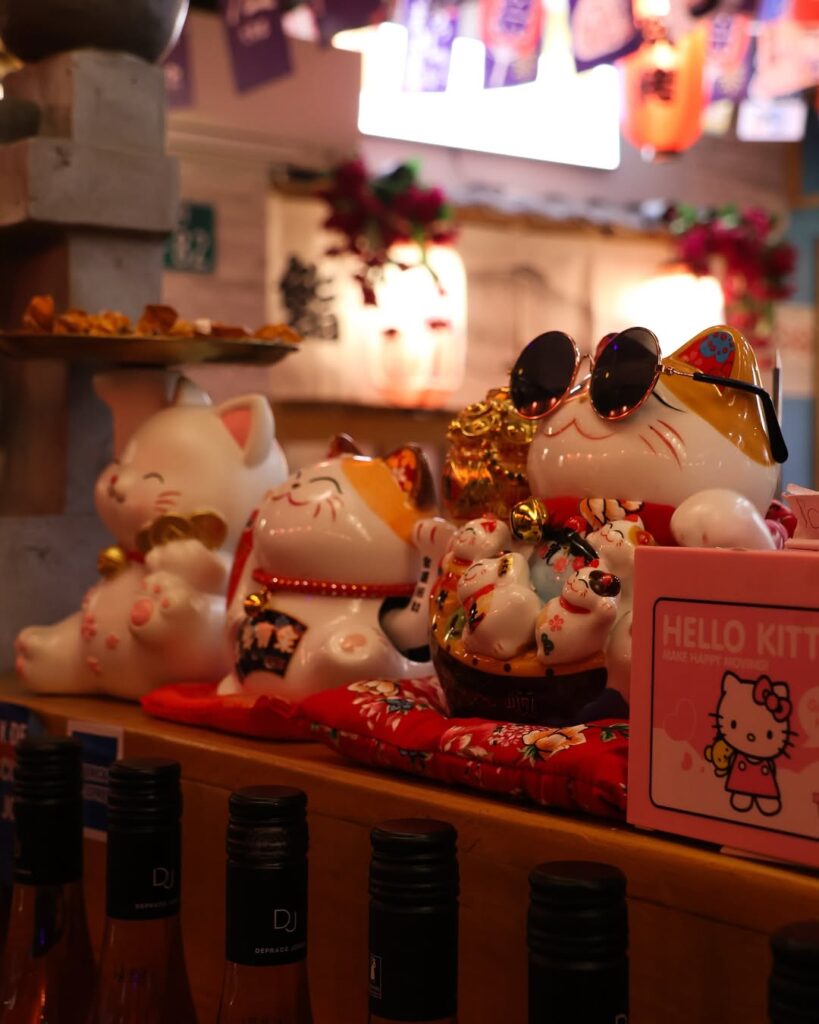 Les chats de Tokyo Menya à Perpignan