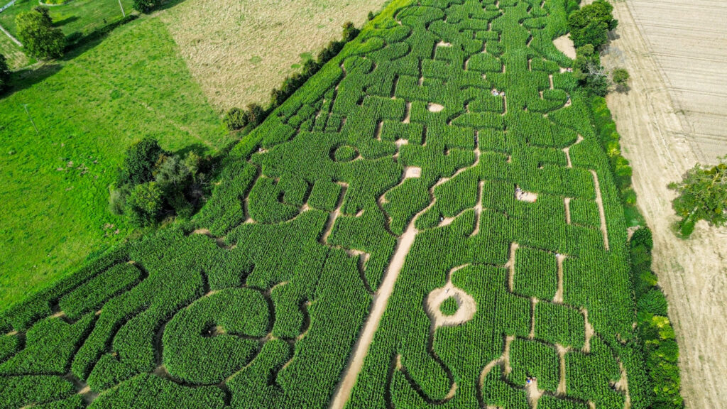 Le labyrinthe à Honfleur