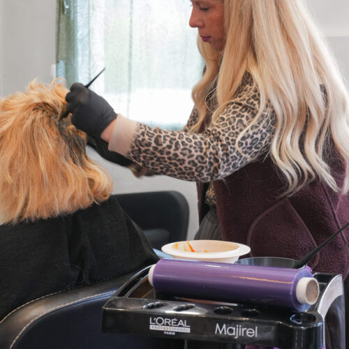 Une coiffeuse chez Magena Coiffeur Mixte au Havre