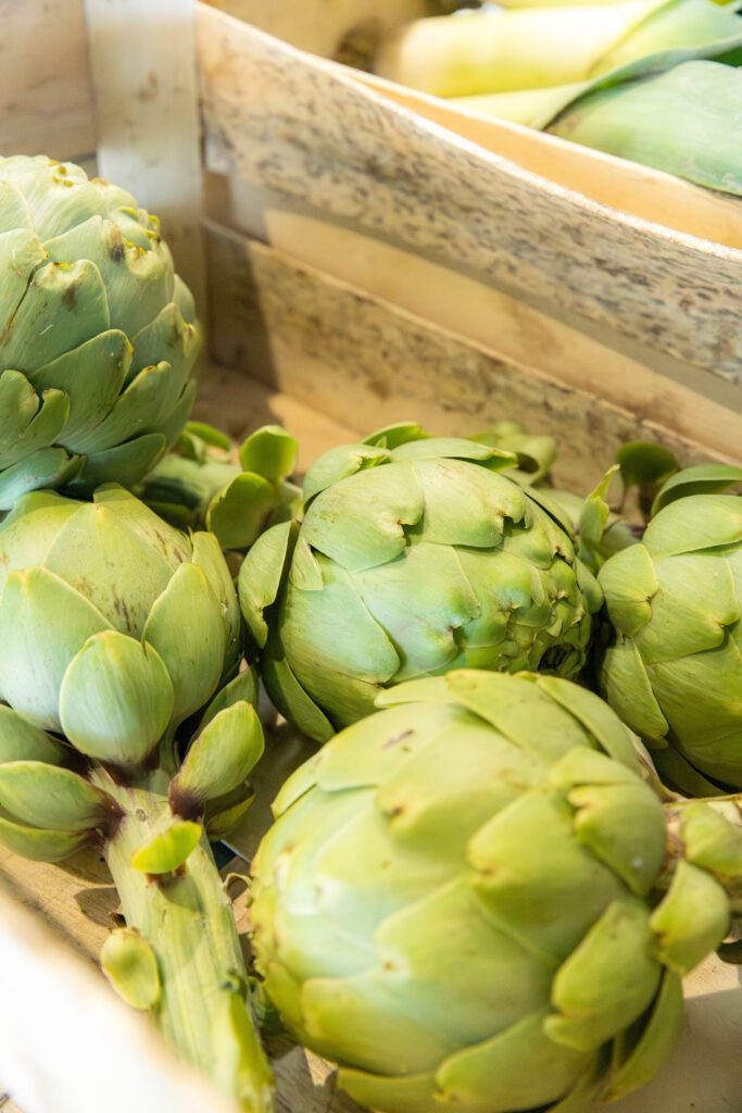 Arrivage artichauts à la Bouroune du Grau à Gruissan