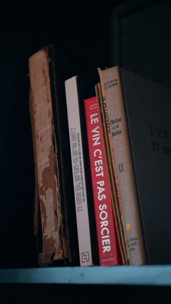 Des livres dans la bibliothèque du bar Les Enfants de Choeur