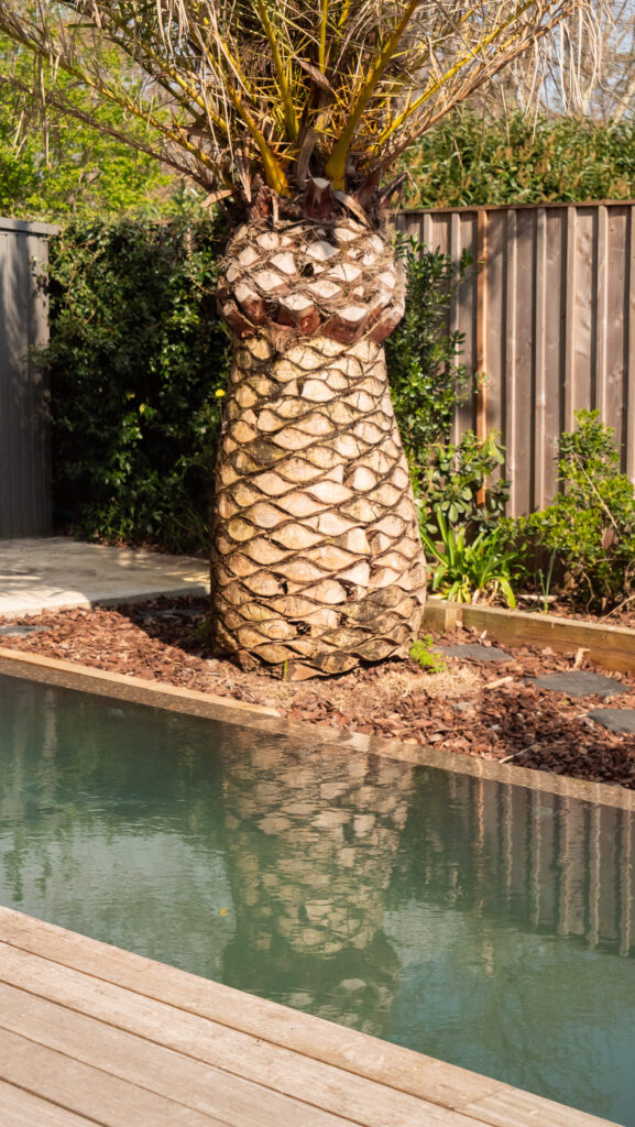 Piscine en béton et terrasse de la Villa du Lac, proposée par Les Cocons du Bassin. Une villa en bois familiale à proximité du lac de Cazaux.