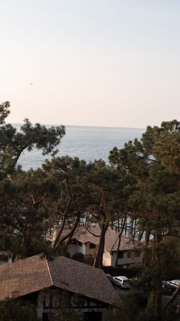 Vue panoramique depuis le cocon Panorama. Appartement luxueux proposé par Les Cocons du Bassin, au dessus de la Co(o)rniche à Pyla-sur-Mer.