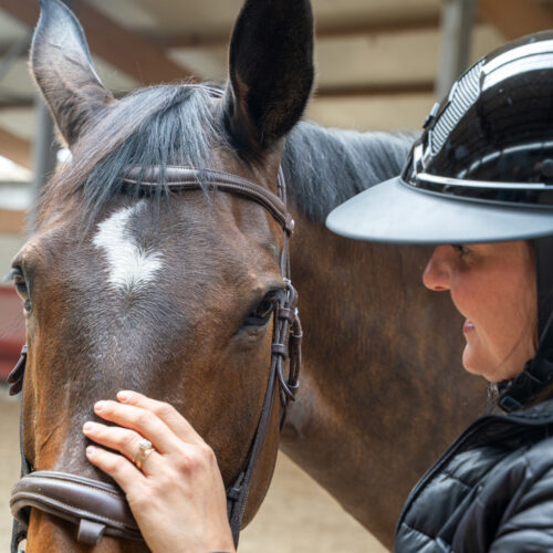Les cours d'équitation s'adressent à tous les niveaux aux Ecuries de la Malle